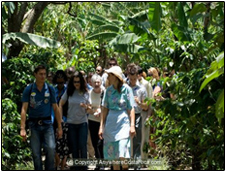 Caf&eacute; Britt&rsquo;s plantation in Heredia